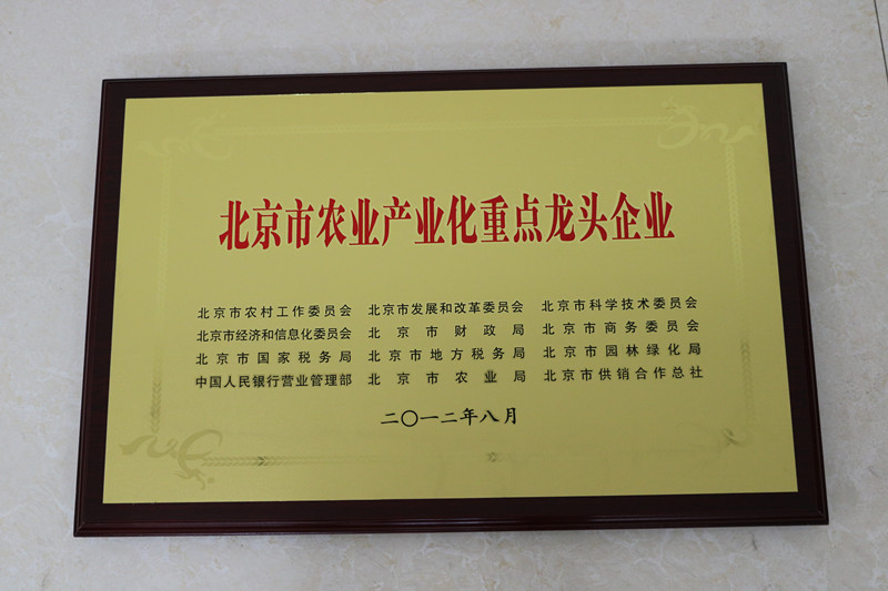 必发888(唯一)官方网站