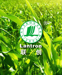 必发888(唯一)官方网站