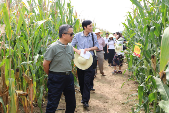 必发888(唯一)官方网站