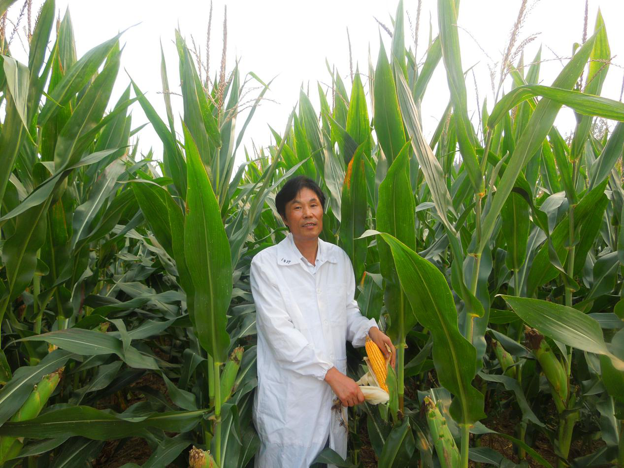 必发888(唯一)官方网站