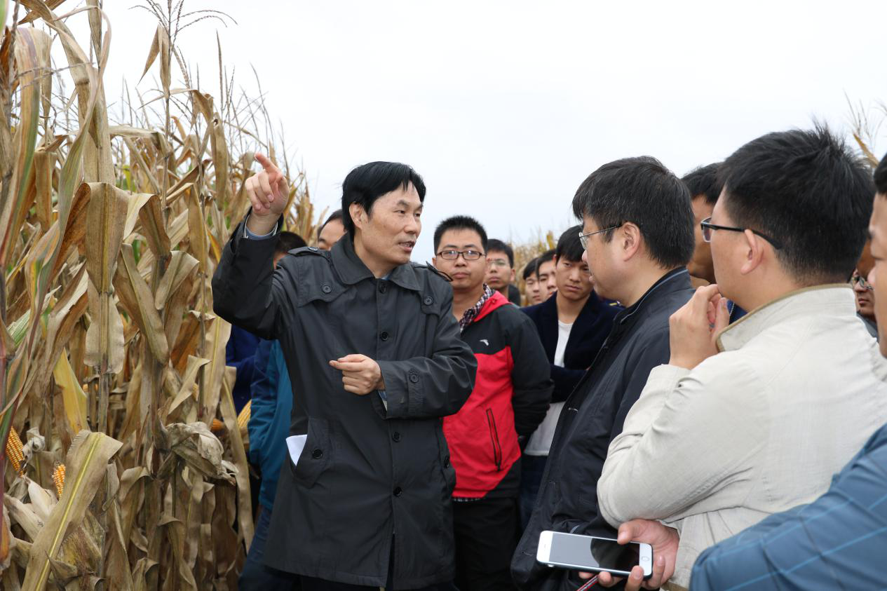 必发888(唯一)官方网站