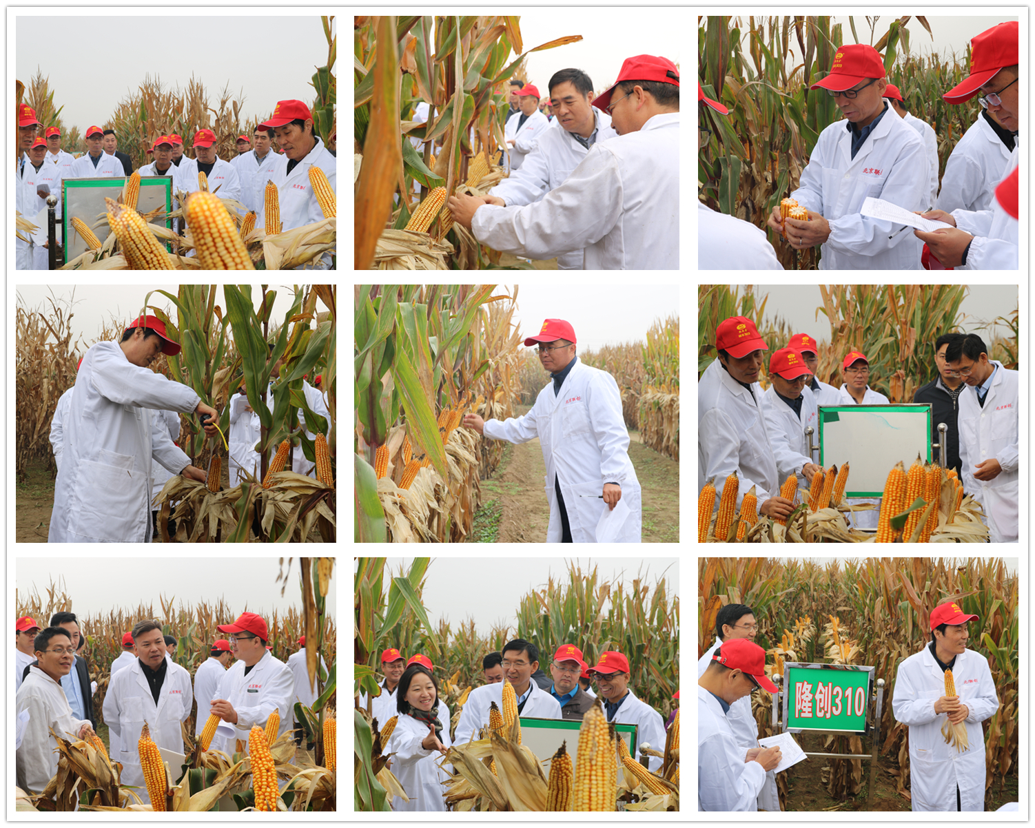 必发888(唯一)官方网站