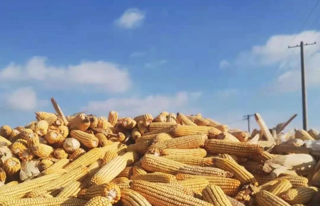 必发888(唯一)官方网站