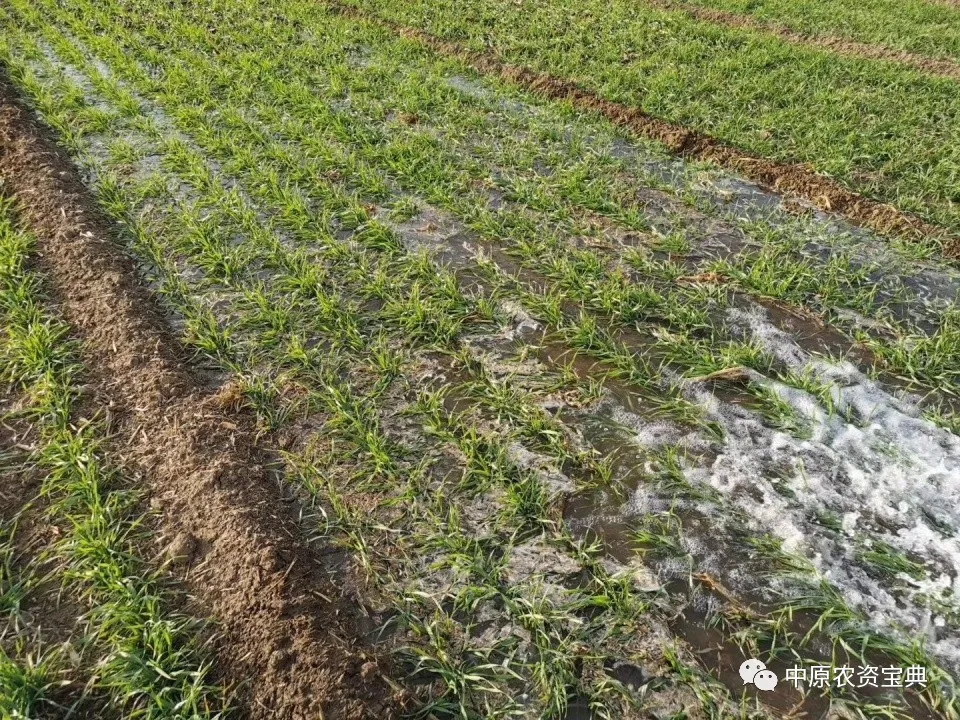 必发888(唯一)官方网站