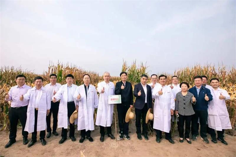 必发888(唯一)官方网站