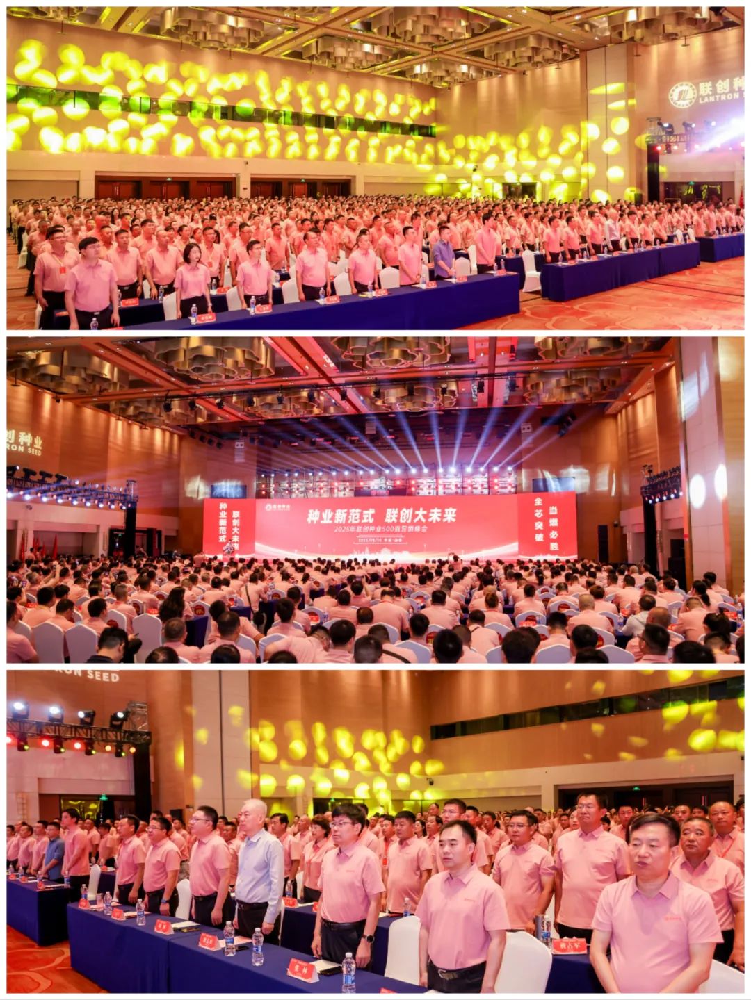 必发888(唯一)官方网站