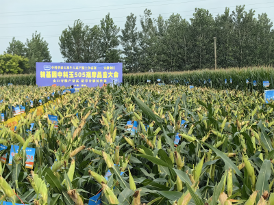 必发888(唯一)官方网站