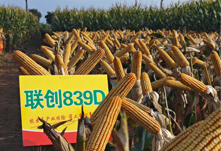 必发888(唯一)官方网站