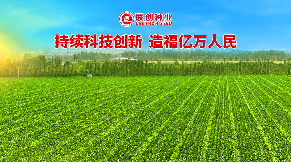 必发888(唯一)官方网站